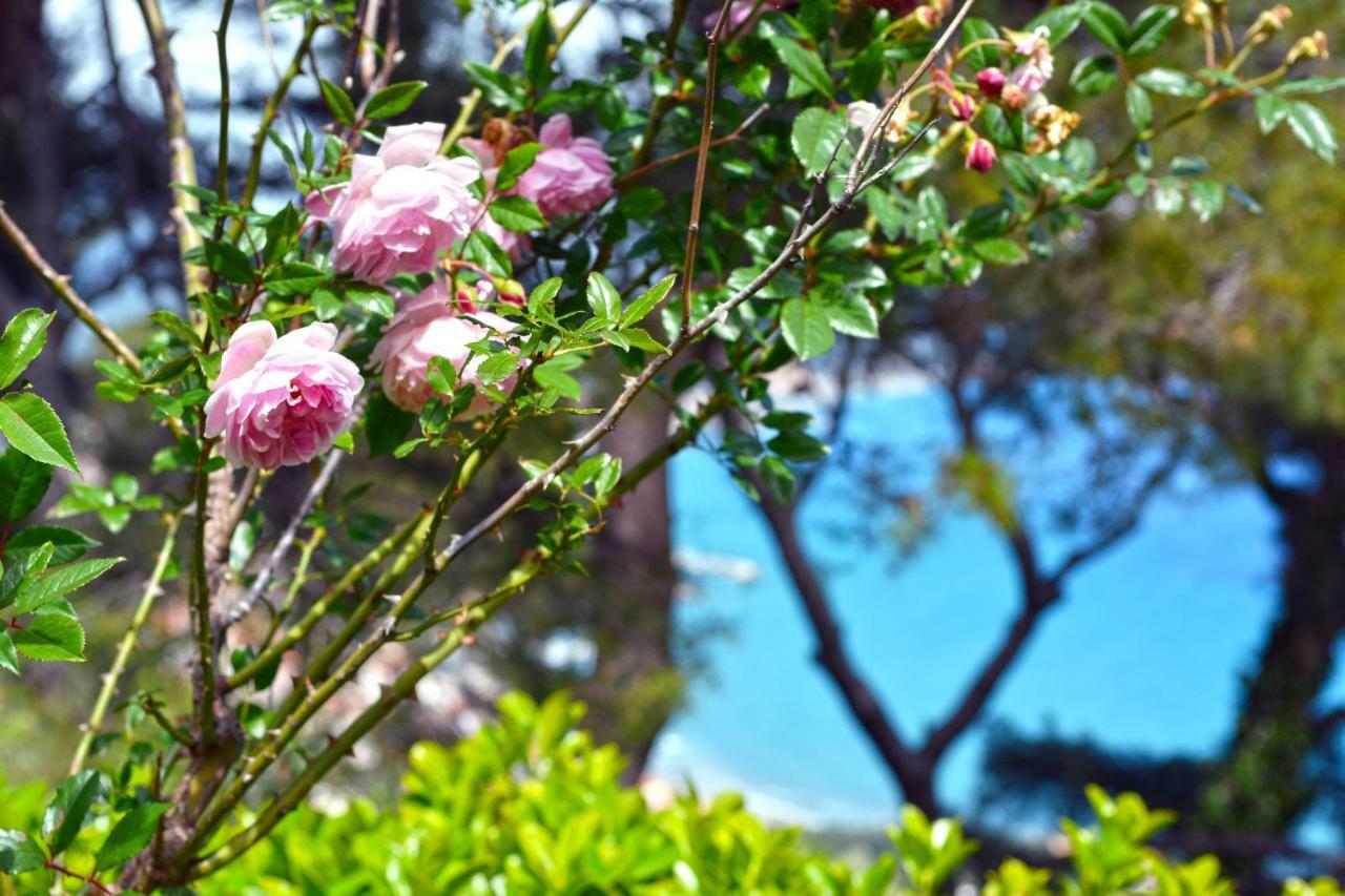 Torre Alpicella Holiday Home, A Scenic Escape Into Nature And Relaxation ดิอาโนมารีนา ภายนอก รูปภาพ